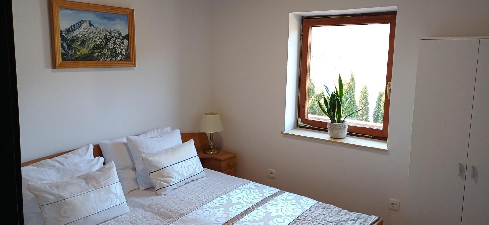 Hotel Planinka Ljubno Eksteriør billede